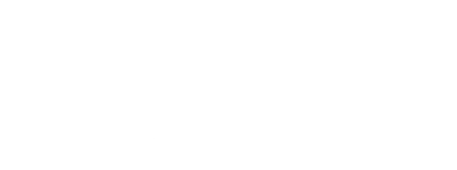 BARONGSAY NAIK LEVEL Logo